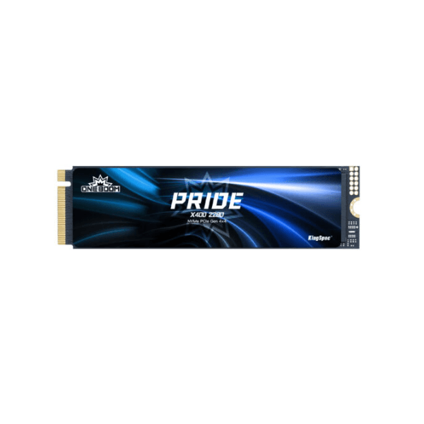 KingSpec X400 Series 1TB NVMe SSD