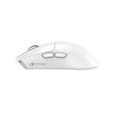 Multiple Images images